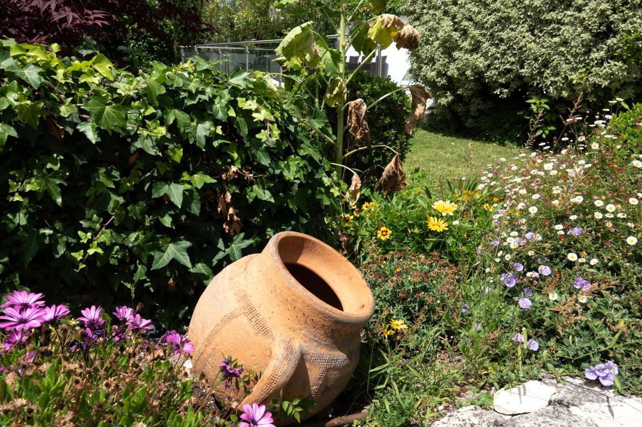 La Martinoise Garden Ξενοδοχείο Saint-Martin-de-Ré Εξωτερικό φωτογραφία